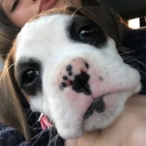 Meet your Posher, Ella